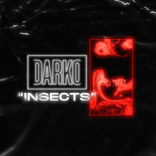 Darko (USA) : Insects